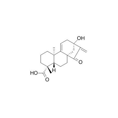 Pterisolic acid C