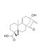 Pterisolic acid C