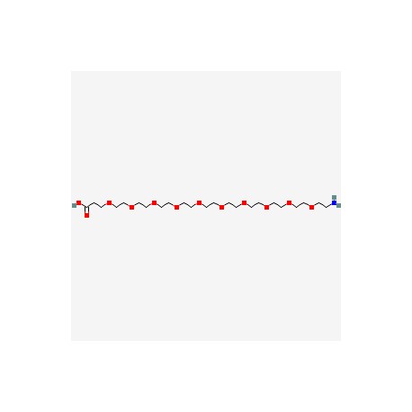 Amino-PEG10-acid